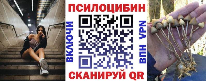 Псилоцибиновые грибы Psilocybe  Бахчисарай 