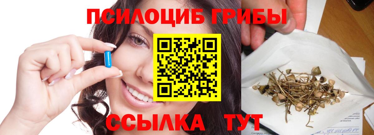 Псилоцибиновые грибы MAGIC MUSHROOMS Бахчисарай