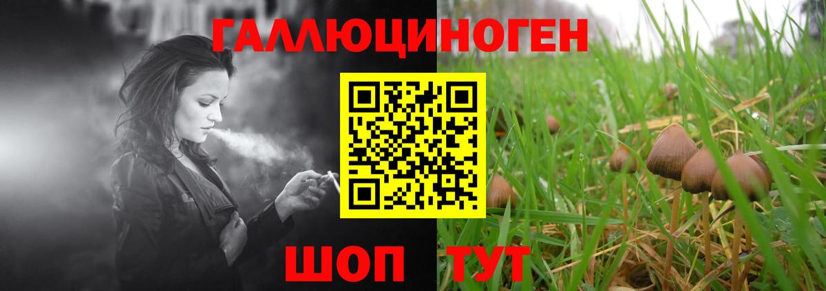 Галлюциногенные грибы Cubensis  Вход с VPN  где найти   Бахчисарай  Псилоцибиновые грибы мицелий 